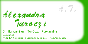 alexandra turoczi business card